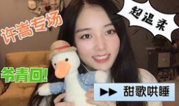 国产asmr,国产ASMR的魅力探索